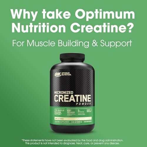 Optimum Nutrition Creatine for muscle building and support.